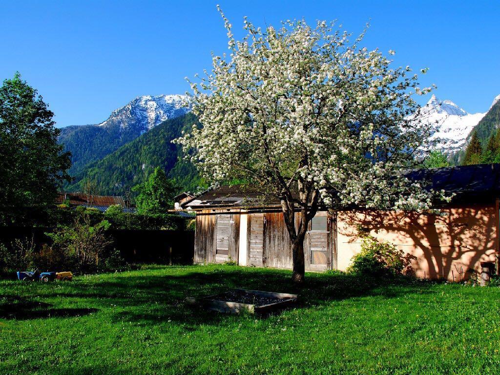 Haus Stainer Apartment Lofer Exterior photo